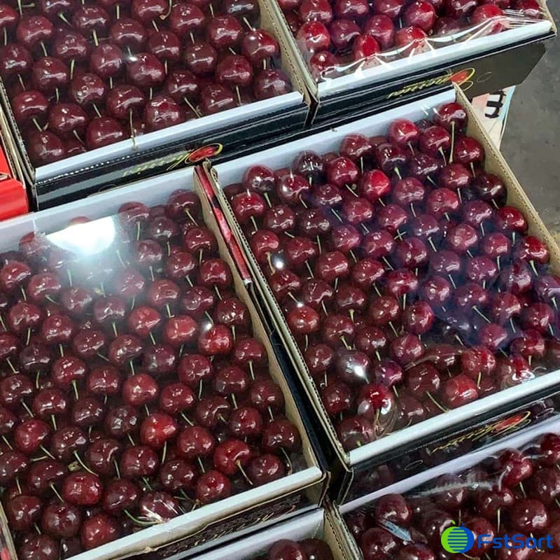 images/1710758358624cherry fruit.jpg